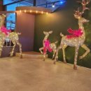 점핑몬스터 지축점 이미지