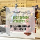 넬슨신 애니메이션아트 박물관 | 과천 아이와 가볼만한 곳, 넬슨신애니메이션아트박물관 관람 추천