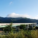 송이용소 이미지