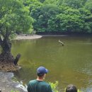 고와라민박 이미지