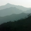 꽃-가족 이미지