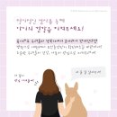 정든동물병원 이미지