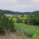 남산리 입석 네이버블로그