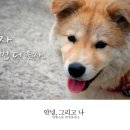 같이 Daum카페