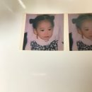스이츠 Daum카페