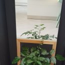 바라보다안경 동탄호수공원점 이미지