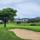 토피어리제주 | 제주도 골프여행 추천 라헨느CC 라운딩 후기｜제주공항 30분 거리 2인 5인 플레이