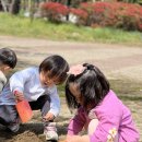 무양공원 놀이터(무양) 이미지