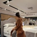 한지장 | 허리에 좋은 씰리 매트리스 포스처피딕 완전 취향저격템