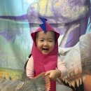 공룡나라어린이집 이미지