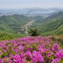 와룡산청룡사앞 이미지