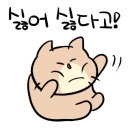 진댄스아카데미 이미지