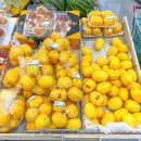 코끼리마트 이미지