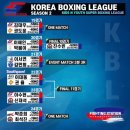 홍수환 JR복싱 이미지