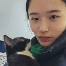 천씨씨커피삼산점