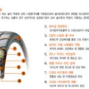 할렐루야타이어 이미지