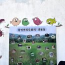 수망리 산마장 잣성 | 제주 물영아리 오름 서귀포 오름 추천! 주차 및 코스 탐방 후기