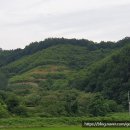 대곡면-6 이미지