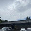 버스정류장 07-475 | 제주 관음사에서 1박 체험형 템플스테이 (속세 떠나기)