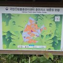꽃중년들의배낭여행
