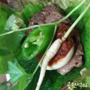 태정농장 네이버블로그