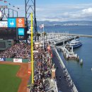 회천생태공원 야구장 이미지