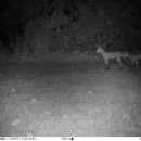 석계항맥외과의원 이미지