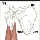 백석PT 모티플짐 이미지