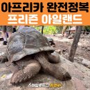 아프리카 여행 잔지바르 스톤타운 프리즌 아일랜드 & 포로다니 야시장 후기