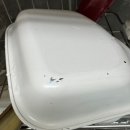 윌리웰리 | 고양이 바램펫 밀리/윌리/장영양제 후기