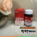 영천시약용작물산업화지원센터 | 팜델리 혈행케어 마늘영양제로 콜레스테롤 혈당조절하기