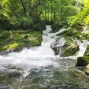 항골계곡 이미지