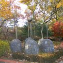 지양산 생태순환길 이미지