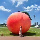 조치원_조치원읍 복합커뮤니티센터 | 2025 세종 조치원 복숭아축제 다녀온 후기