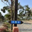 씨유 태안 만리포점 | #태안둘레길캠핑장 후기 (왜 s사이트만 추천하나요? D 사이트 이용후기 및 사이트 추천 #고양이 #고양이...