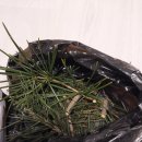 금송농장2 이미지