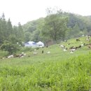 고려축산 이미지