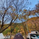 우천바리안마을 | 사천우천숲 계곡물놀이 가능 우천바리안 2박 3일 노지캠핑 (업데이트된 관리비정보공유)