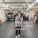 운동초교 | 화곡역 크로스핏 초보 팬덤PT 크로스핏팬덤에서 일일 체험한 후기