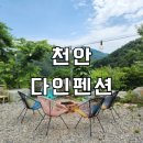 가족/친구끼리 가면 너무 좋을 인테리어가 이쁜 광덕산 다인펜션 솔직후기