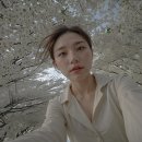 (주)수에이전시