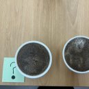 티오피인터내셔널 이미지