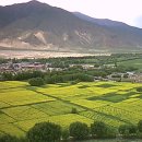 알뜰슈퍼 이미지