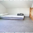 멍스타 | 담양애견동반풀빌라 강아지와 함께한 담양 멍스타 여행 후기