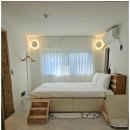 스테이 아담 이미지