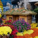 동구청 앞 이미지