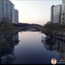 백궁교 이미지
