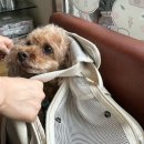 서초대로 124 이미지