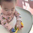 아몰랑 | 스토케 트립트랩 흡착필름 내돈내산 솔직후기