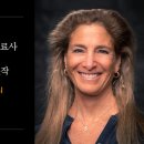 타라미디어 이미지